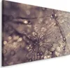 Fabelhafte Canvas LEINWAND BILDER 30x20 cm XXL Kunstdruck Produktbild-Vorschau 1