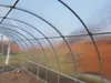 Serra KLASIKA TUBE 3x4m con fondamenta e policarbonato da 6 Anteprima dell’immagine prodotto 22