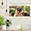 Leonberger - der zahme Löwe (Wandkalender 2026 DIN A4 Produktbild-Vorschau 3