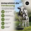 Premium Futterkohle für Kälber - 5L | 1,5 mm Pflanzenkohle Produktbild-Vorschau 4
