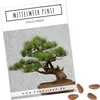 Außergewöhnliche Bonsai Samen mit hoher Keimrate - Pflanzen Produktbild-Vorschau 1