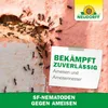 Neudorff Nützlinge gegen Ameisen – 10 Mio. SF-Nematoden Produktbild-Vorschau 8
