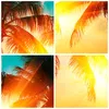 Bilder auf glas - Einteilig - Meer Palme Wasser - 80x120cm Produktbild-Vorschau 8