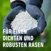 COMPO Rasen Langzeit-Dünger Perfect für 60 m² - 1,5 kg Produktbild-Vorschau 7