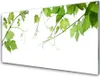 Acrylglasbilder 100x50 Wandbild Druck Zweige Blätter Produktbild-Vorschau 1
