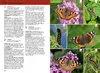 Der KOSMOS Insektenführer Produktbild-Vorschau 6