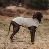Hunter Hunde-Regenmantel Milford, Größe:30 cm, Farbe:taupe Produktbild-Vorschau 6