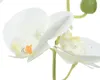 Künstliche Orchideenpflanze sortierte Farben ø13x25cm Produktbild-Vorschau 4