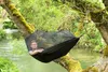Amazonas Hängematte Moskito-Traveller EXTREME - Liegefläche Produktbild-Vorschau 3