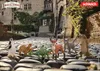 Die Schule der magischen Tiere Juri der Pinguin Produktbild-Vorschau 10
