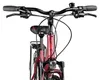 Adler Verona Wave vielseitiges Trekkingbike mit Produktbild-Vorschau 3