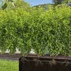 GARDENA Micro-Drip-System Tropfrohr für Büsche/Hecken 1,6 Produktbild-Vorschau 8