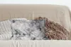 MuchoWow® Zierkissen Sofakissen Wohnzimmer Dekokissen 50x30 Produktbild-Vorschau 4