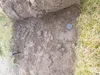 Rete antitopo 10 m x 2 m barriera antitopo griglia antitopo Anteprima dell’immagine prodotto 4