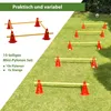 Steckhürdenset 15- teilig 23 cm höhenverstellbar rot Produktbild-Vorschau 5