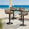 LVHOM Lot de 4 tabourets de bar en rotin avec socle Voir les images du produit 1