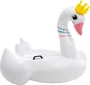 NTEX 57562NP - Schwimmtier - majestätischer Schwan Produktbild-Vorschau 10