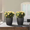 LECHUZA® Pflanzgefäße CLASSICO Color 28 Schiefergrau Produktbild-Vorschau 6