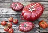 Several red tomato-shaped cocottes and real tomatoes are arranged on a rustic wooden surface. Náhľad obrázku produktu
