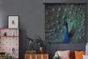 MuchoWow® Wandteppich Wandbehang Pfau - Federn - Farben Produktbild-Vorschau 5