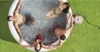 INTEX Pure Spa Bubble HWS 8 - Whirlpool für 8 Personen, Produktbild-Vorschau 8