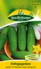 Quedlinburger Saatgut - Einlegegurken Libelle - Samen - Produktbild-Vorschau 5
