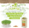 Keimsprossen Kresse (200 g) |Keimsprossen von FLORTUS Produktbild-Vorschau 4