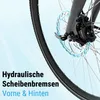 AsVIVA BC1-C Urban E-Bike 250W, 7 Gang Shimano, Akku, LED, Produktbild-Vorschau 11