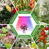 LED rastové svietidlá s klipom na celé spektrum, rastové Náhľad obrázku produktu 6