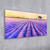 Coloray Acrylbild 100x50  Wandbild Acrylbilder Deko Produktbild-Vorschau 2