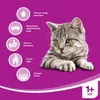 Whiskas STERYLIZOWANA sucha karma dla kotów Adult Kurczak Podgląd zdjęcia produktu 6