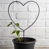 A small plant in a black pot with a black heart-shaped trellis in front of a white brick wall. Produktbild-Vorschau