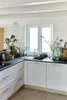 A kitchen counter with a sink, cabinets, and various potted plants and flowers. Anteprima dell’immagine prodotto