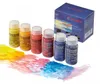 Stockmar zestaw akwareli 6 podstawowych kolorów 20 ml do Podgląd zdjęcia produktu 2