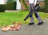 A person is using a leaf blower to clear fallen leaves from a paved walkway in a garden setting. Produktbild-Vorschau