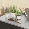 Three potted plants and gardening tools on a countertop. Produktbild-Vorschau