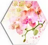 DEQORI Glasbild Echtglas 40x35 cm 'Orchideenflüstern' Produktbild-Vorschau 1
