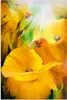 ARTland Wandbild Alu für Innen & Outdoor Ein Sommertag Produktbild-Vorschau 1