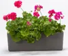 A planter box filled with pink geraniums against a white background. Produktbild-Vorschau