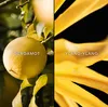 A split image showing a bergamot fruit on the left and ylang-ylang petals on the right, with text labels for each. Anteprima dell’immagine prodotto