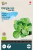Feldsalat Holländischer Breitblättriger |  Salatsamen von Produktbild-Vorschau 1