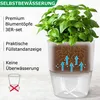 Ensemble de pots à herbes aromatiques pour la cuisine, à Voir les images du produit 11