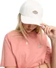 DICKIES - Uni Hardwick Bavlna cap  - Size One size Náhled obrázku produktu 3