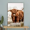 Wanddeko 60x90 cm - Schottisches Hochlandrind - Kuh - Natur Produktbild-Vorschau 4