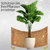 Anzuchtmatte aus 100% Kokosfasern, 100cm x 50cm, 7mm dick, Produktbild-Vorschau 5
