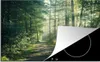 KitchenYeah© Herdabdeckplatte Wald - Weg - Sonne - Bäume - Produktbild-Vorschau 1