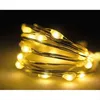 Kaemingk Micro LED Strangbeleuchtung Lichterkette mit 20 Produktbild-Vorschau 6