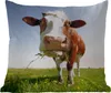 MuchoWow® Outdoor Kissen - Kuh - Tiere - Blumen - Gras - Produktbild-Vorschau 6
