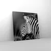 Bild auf Leinwand - Leinwandbild - Tier Zebra Streifen - Produktbild-Vorschau 4
