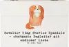 Mr. & Mrs. Panda Schatulle Cavalier King Charles Spaniel Produktbild-Vorschau 1